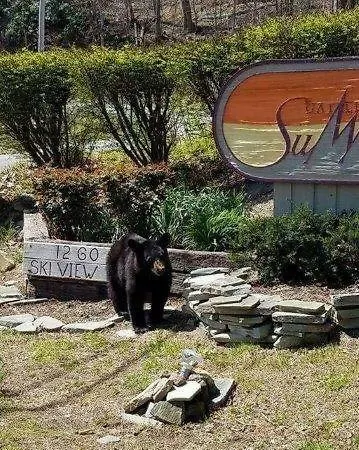Gatlinburg Mountain Condo